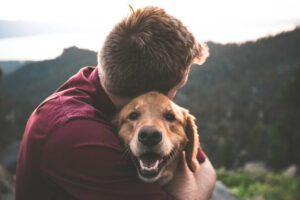 Dog and Friend