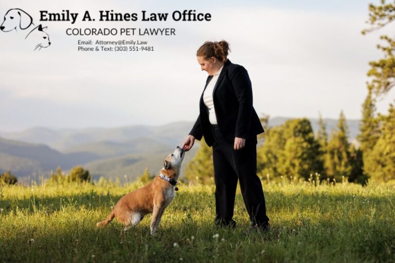 Emily A. Hines Law Office